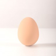 Skákajúce Vajíčko + poštovné len za 1 EURO